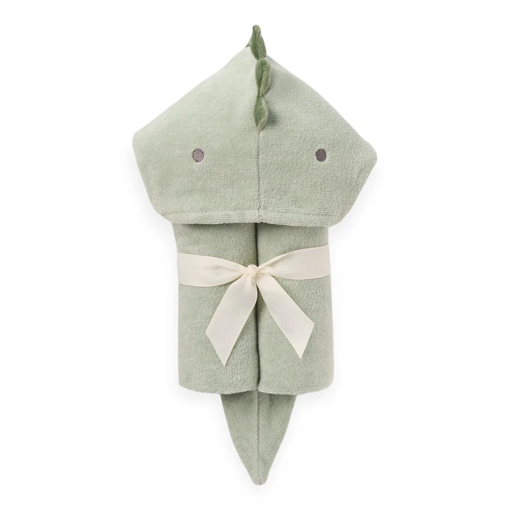 Dinosaur HOODED BABY BATH WRAP