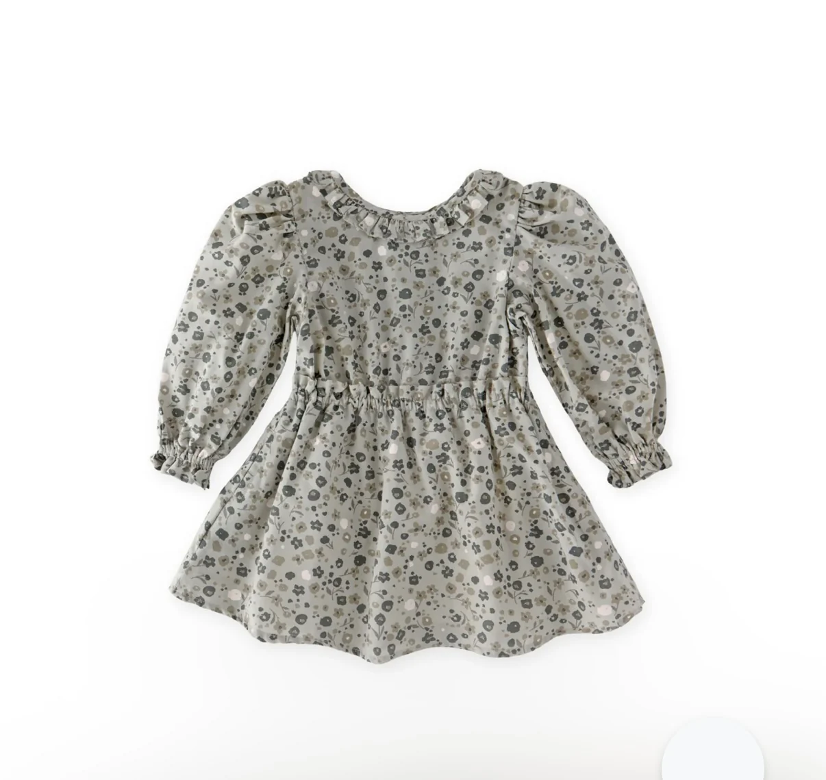 Ruffle Puff Sleeve Dress