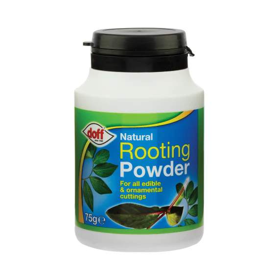 Rooting Powder 75g